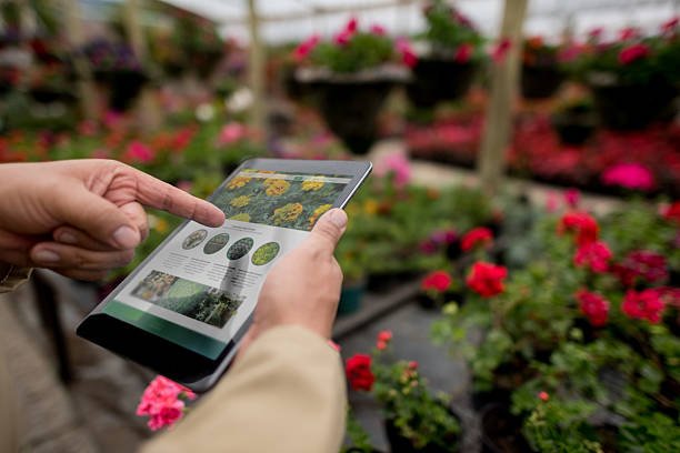 This Business Provides The Best Plant Delivery Service. Get to Know Them Here!