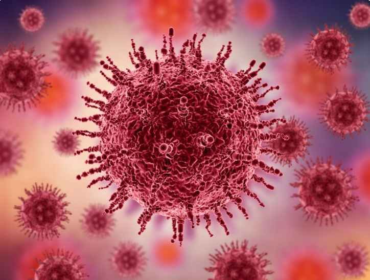 The Connection Between CTSB and Inflammatory Diseases