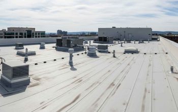 How Can Florida Businesses Maximize Roof Roi Cost-Effectively