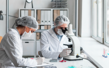 How To Validate Custom Polyclonal Antibodies for Research Use