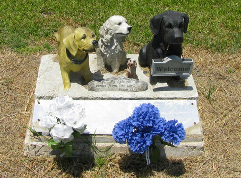 Pet cremation in Adelaide