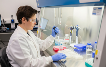 What to Know Before Using Williams Medium E in Your Lab