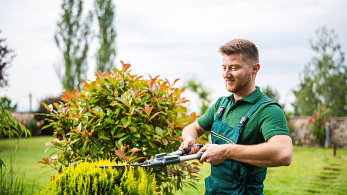 How to Protect Your Landscape During Texas Drought Conditions