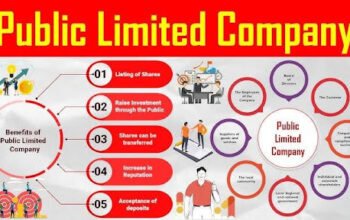 Does Public Limited Company Need Director Identification Number?