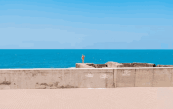 What Does Residential Seawall Construction in Florida Cost