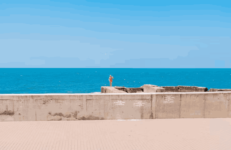 What Does Residential Seawall Construction in Florida Cost?