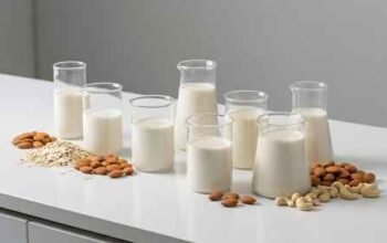 Plant-Based Milk Recipe Developers