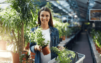 Where Can You Confidently Buy Plants Online In Delhi NCR?