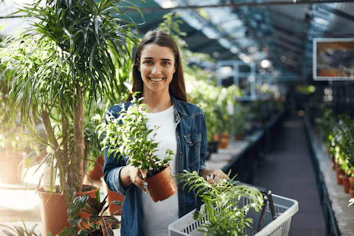 Where Can You Confidently Buy Plants Online In Delhi NCR?