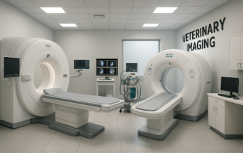 How to Choose the Right Imaging Services for Your Pet