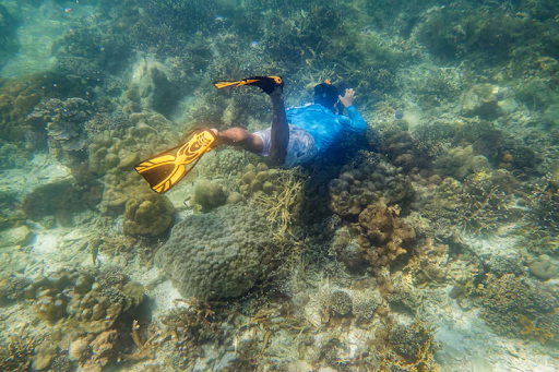 Why Is Koh Lipe Scuba Diving So Popular in Thailand?