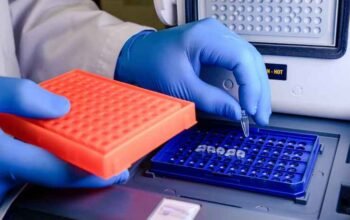 What Are ELISA Immunoassay Kits Used For in Research