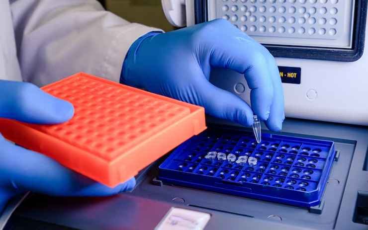 What Are ELISA Immunoassay Kits Used For in Research?