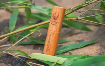 10 Reasons to Switch to a CBD Lip Balm for Daily Lip Care