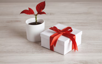 Gifting Green This Raksha Bandhan — A Thoughtful Alternative to the Usual