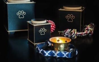 Pet Memorial Services in Delhi