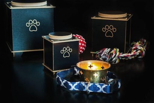 Pet Memorial Services in Delhi with Complete Funeral Support
