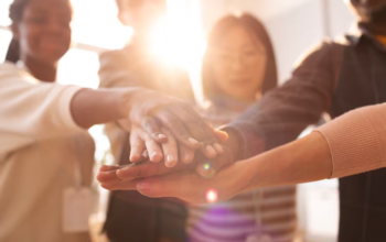 nonprofit formation services